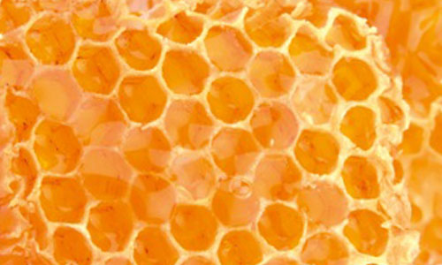Special Highlight Product 500x300-EL-02 Special Highlight Product 500x300-EL-02