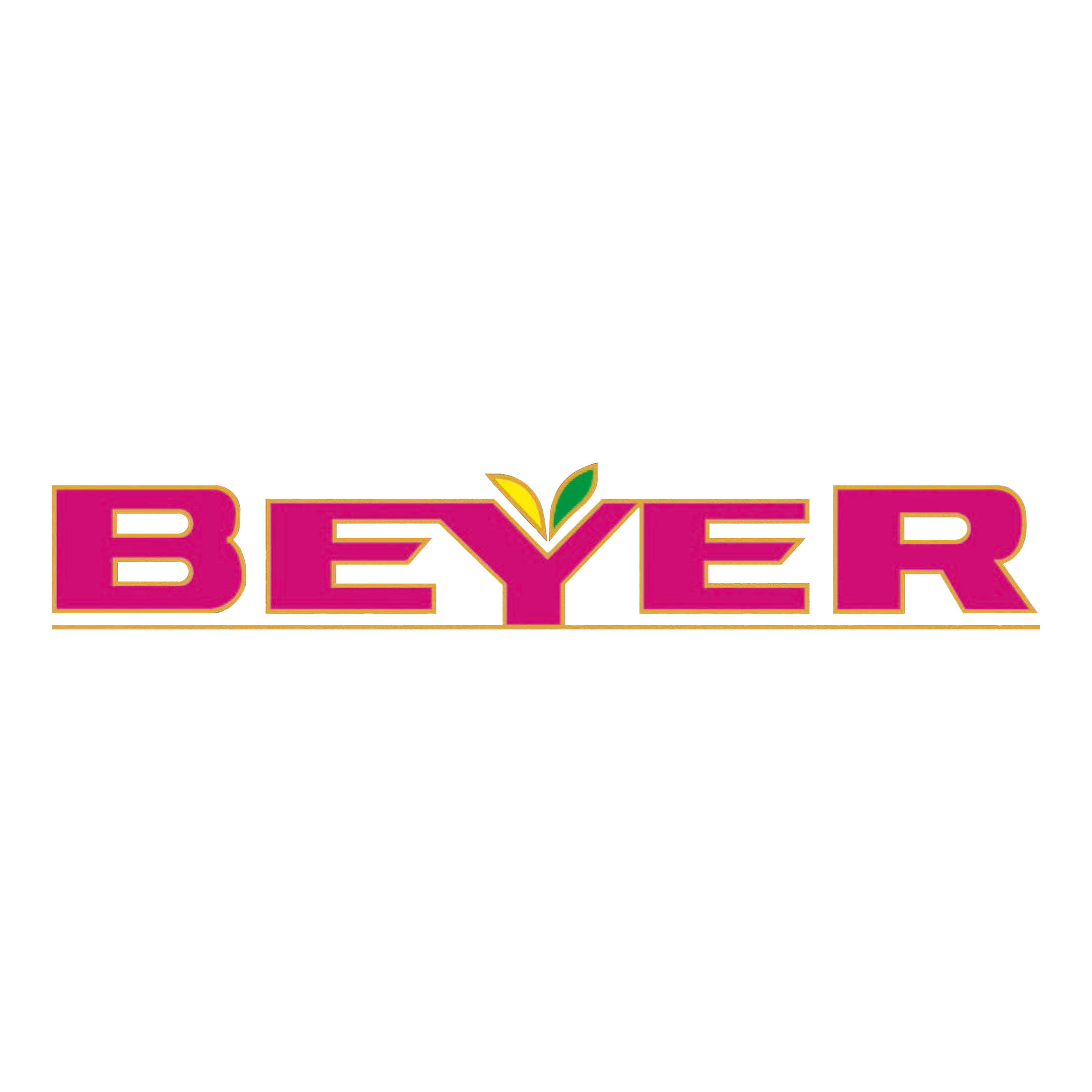 BEYER LOGO