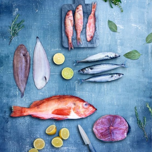 fish2 fish2