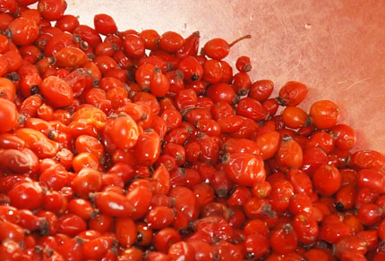 25-bg-img-430x292-BE-02 25-bg-img-430x292-BE-02