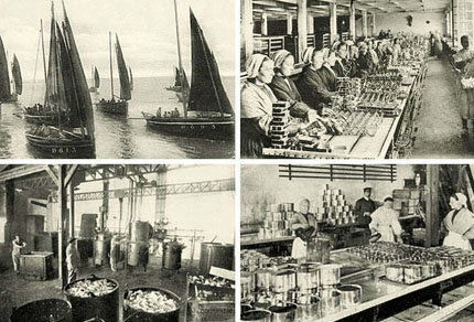 25-bg-img-430x292-CT-01 25-bg-img-430x292-CT-01