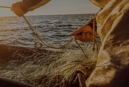 25-bg-img-430x292-CT-02 25-bg-img-430x292-CT-02