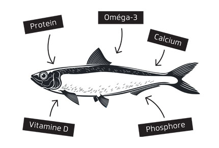 25-bg-img-430x292-CT-adv1 25-bg-img-430x292-CT-adv1