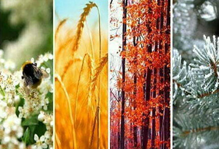 25-bg-img-430x292-CT-adv3 25-bg-img-430x292-CT-adv3