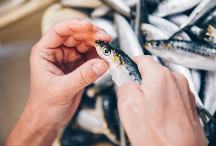 25-bg-img-430x292-CT-adv4 25-bg-img-430x292-CT-adv4