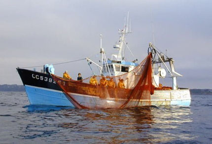 25-bg-img-430x292-CT-adv5 25-bg-img-430x292-CT-adv5