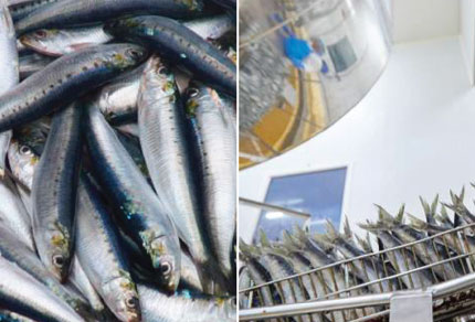 25-bg-img-430x292-CT-intro2 25-bg-img-430x292-CT-intro2