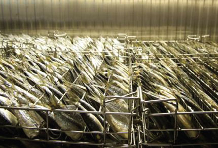 25-bg-img-430x292-CT-intro3 25-bg-img-430x292-CT-intro3