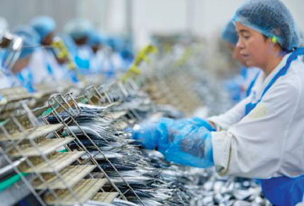 25-bg-img-430x292-CT-intro5 25-bg-img-430x292-CT-intro5