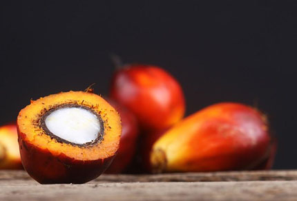 25-bg-img-430x292-NR-Intro1