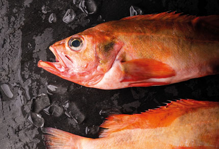 25-bg-img-430x292-MPE-05