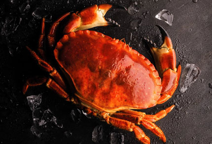 25-bg-img-430x292-MPE-06