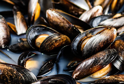 25-bg-img-430x292-MPE-07