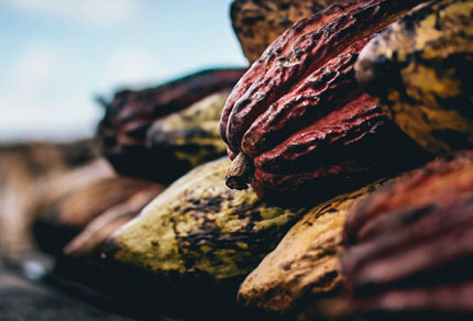 25-bg-img-430x292-BM-01