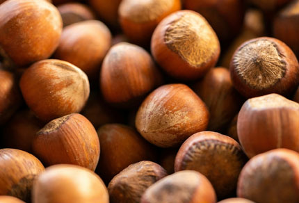 25-bg-img-430x292-BM-02