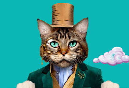 25-bg-img-430x292-MO-01