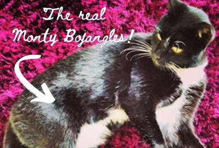 25-bg-img-430x292-MO-02