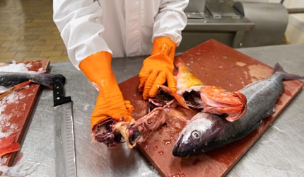 25-bg-img-430x292-MPE-Making Of-02