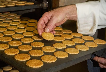 25-bg-img-430x292-SB-02